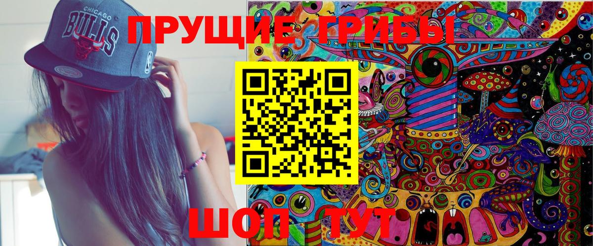 Галлюциногенные грибы GOLDEN TEACHER  Псилоцибиновые грибы Magic Shrooms  Клинцы  Вход с VPN 
