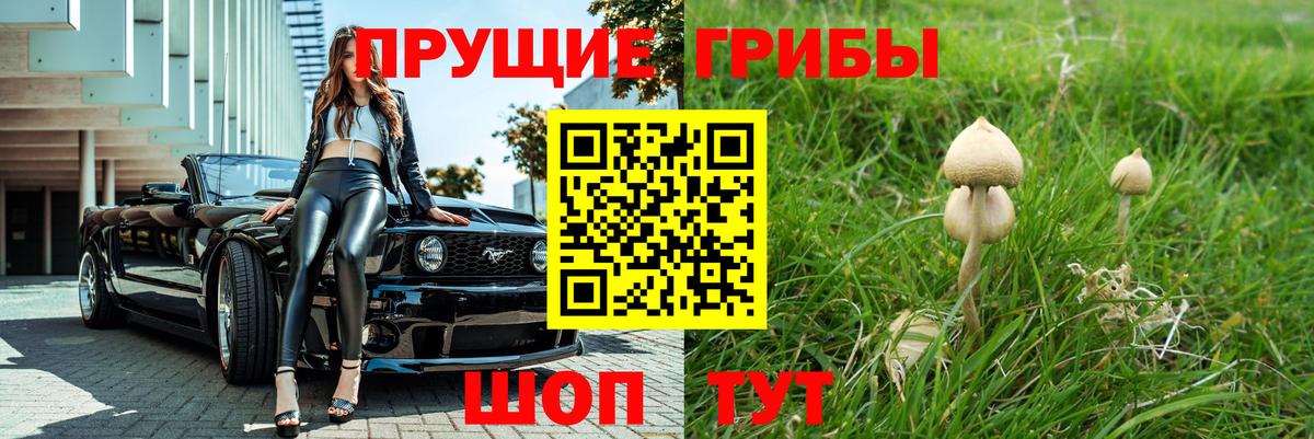 Псилоцибиновые грибы ЛСД Клинцы